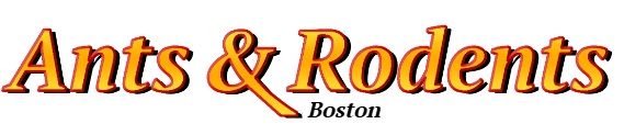 Boston Ant Exterminator & Rodent Control Company Logo